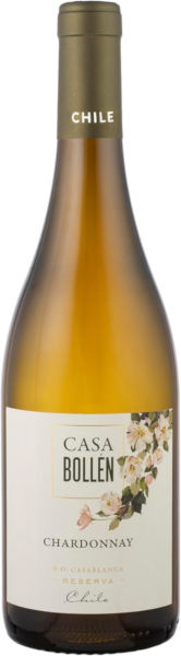 Une photo du vin Casa Bollén « Chardonnay »